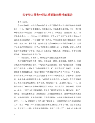 关于学习贯彻--同志重要批示精神的报告