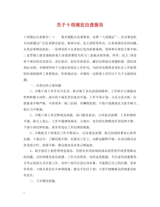 关于十项规定自查报告