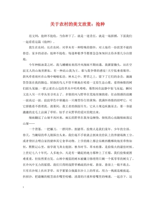 关于农村的美文欣赏：抢种