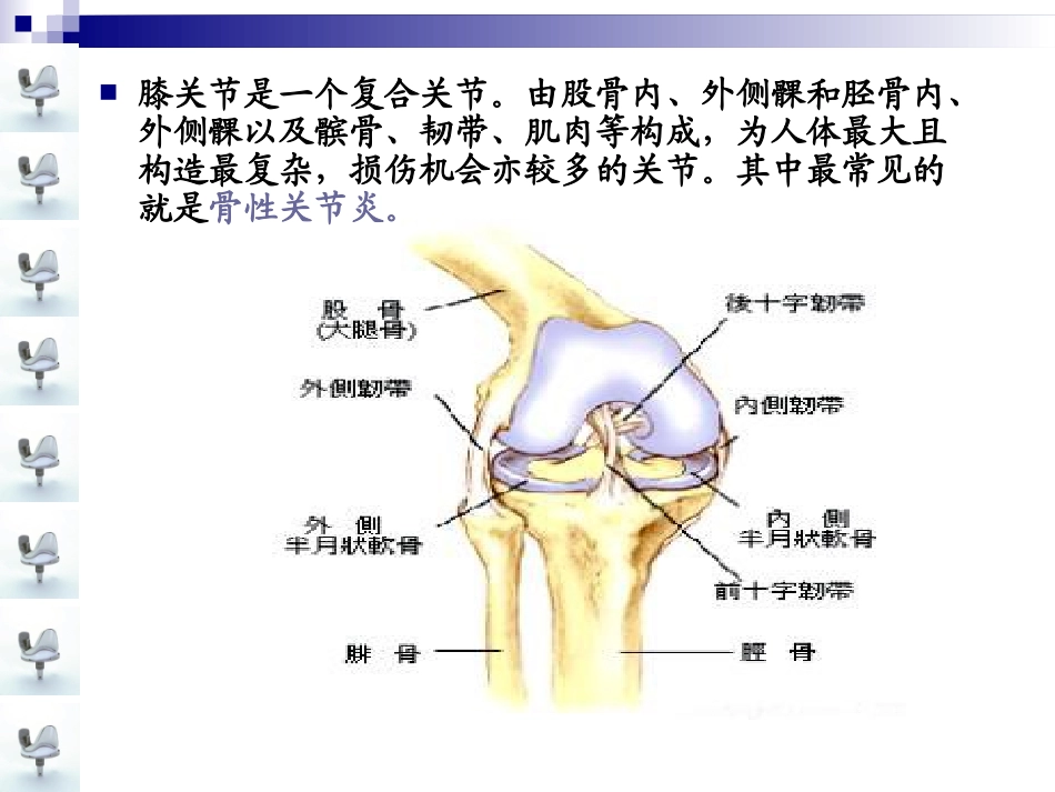 人工膝关节置换术手术配合ppt_第3页