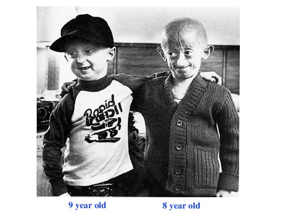 细胞衰老凋亡_第3页