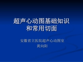 超声心动图基础知识和常用切面