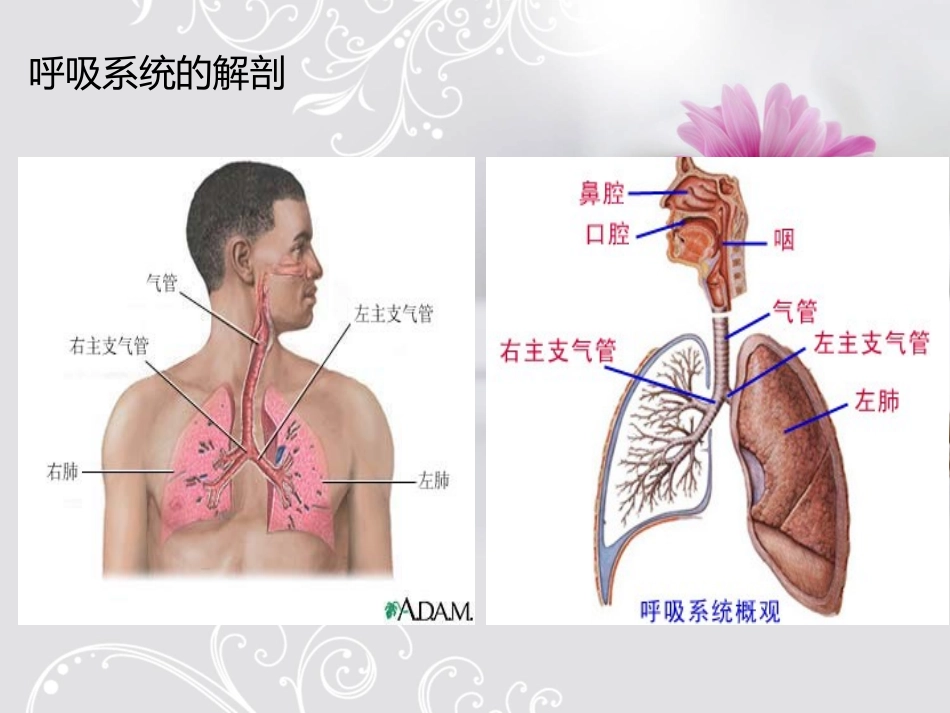 呼吸衰竭的急救护理.ppt9_第3页