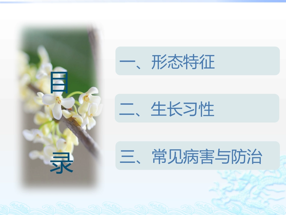桂花常见病害及其防治_第2页