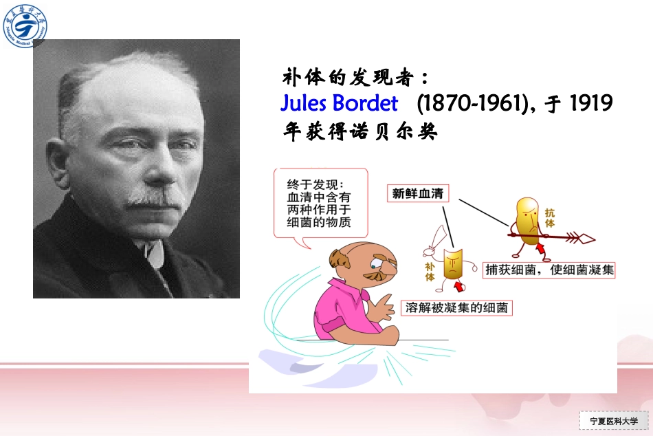 第五章  补体系统_第3页