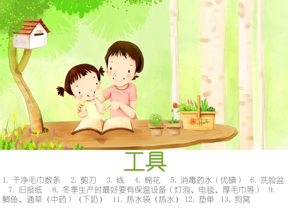 狗狗孕前孕后_第2页