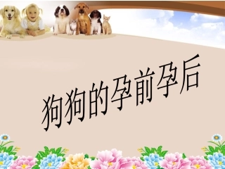 狗狗孕前孕后
