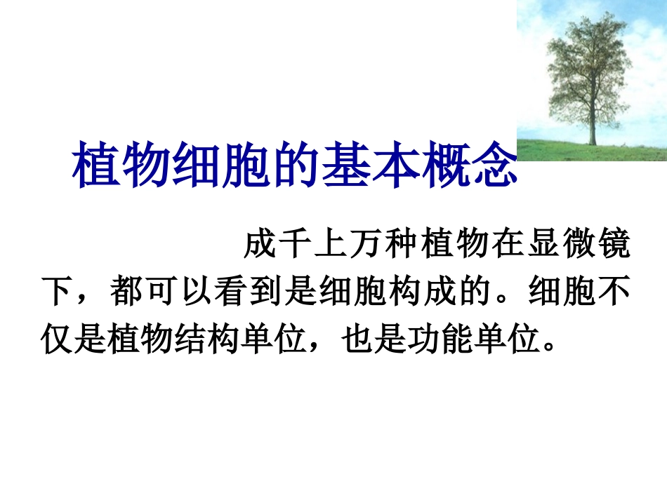植物细胞的基本结构_第3页