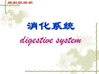 消化系统细微结构