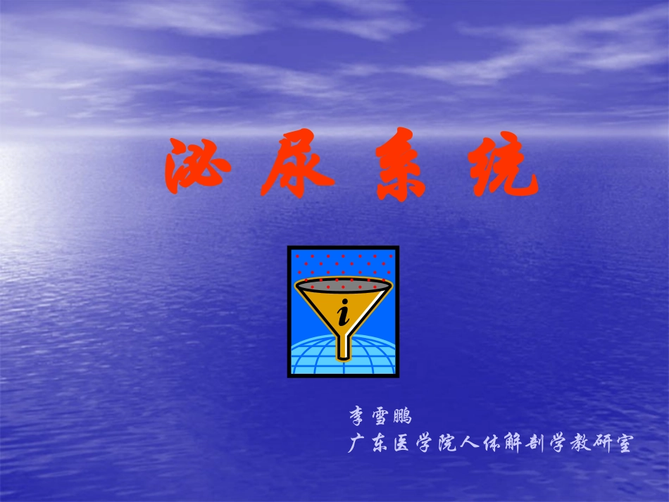 泌尿、生殖、腹膜、内分泌系统学资料_第1页