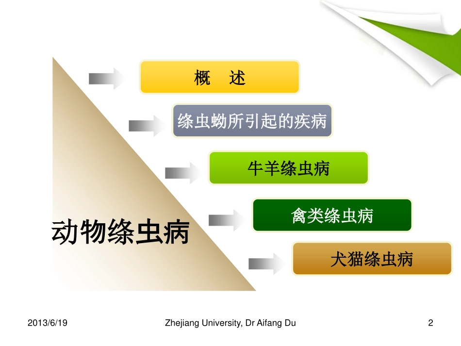 第三章 绦虫_第2页