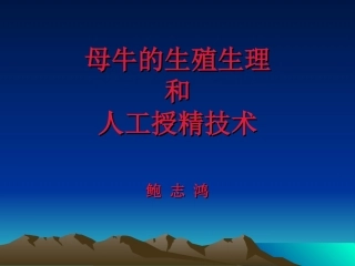 母牛的生殖生理