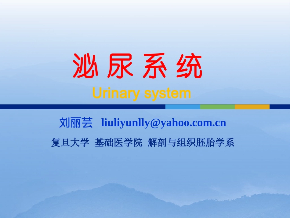 泌尿系统-Urinary-system-刘丽芸_第1页
