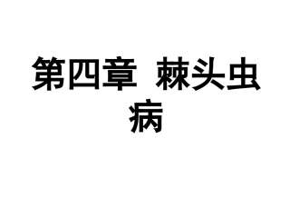 第四章 棘头虫病(08兽医14-16)