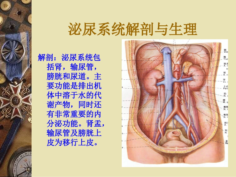 泌尿系结石的诊治_第2页