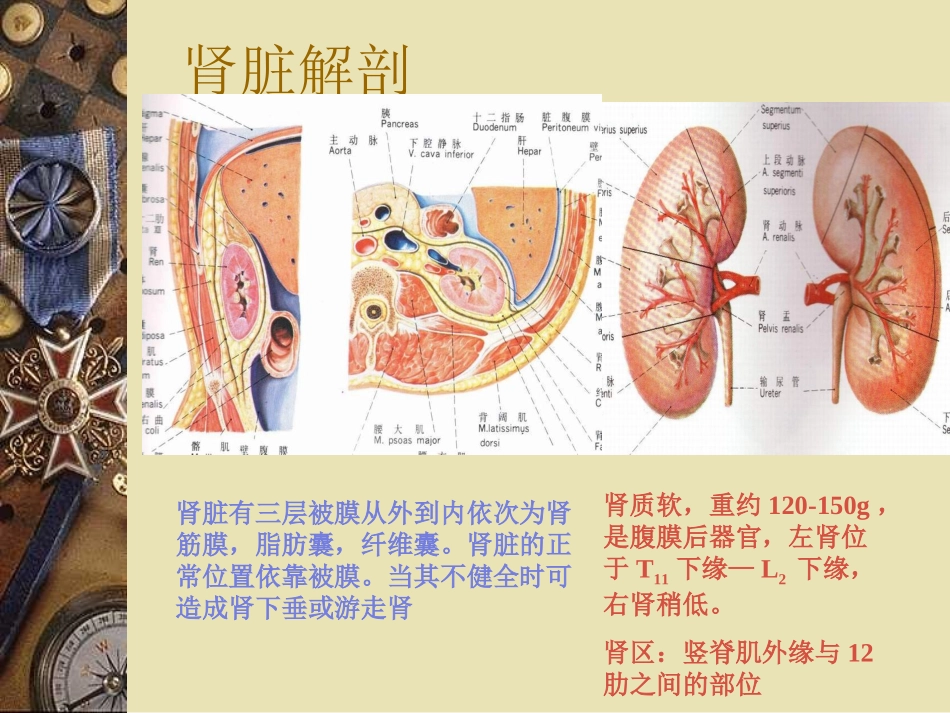 泌尿系结石的诊治_第3页