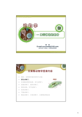 第三章： 原生动物门