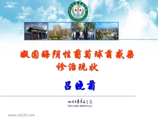 吕晓菊BJ-凝固酶阴性葡萄球菌感染