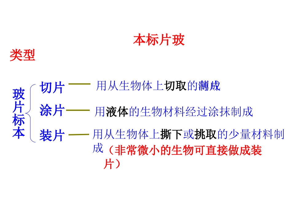 植物细胞(新人教版)_第3页