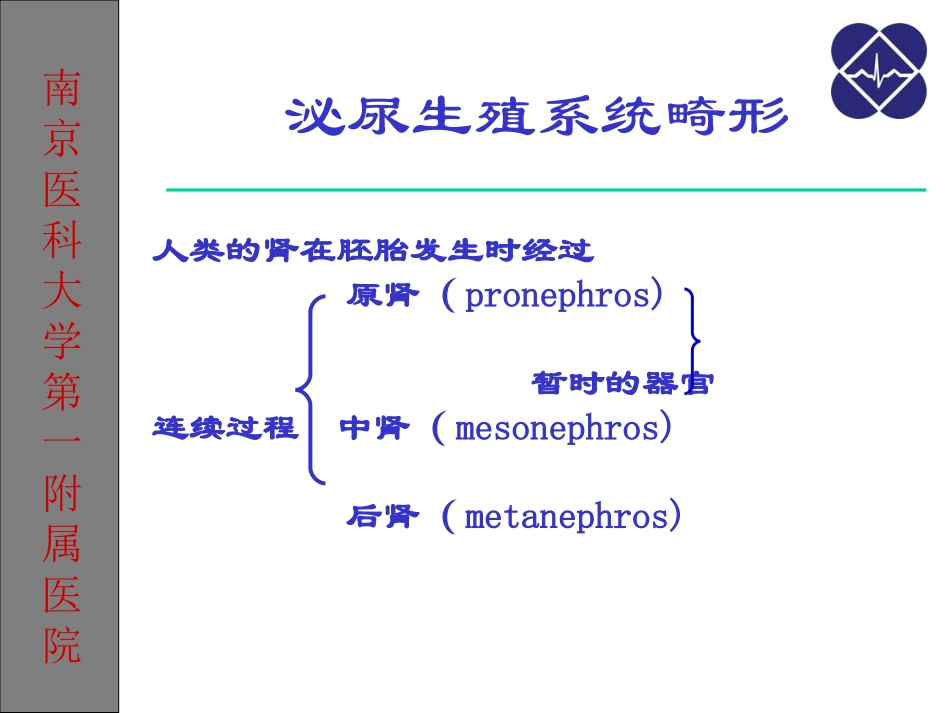 泌尿生殖系统畸形_第3页