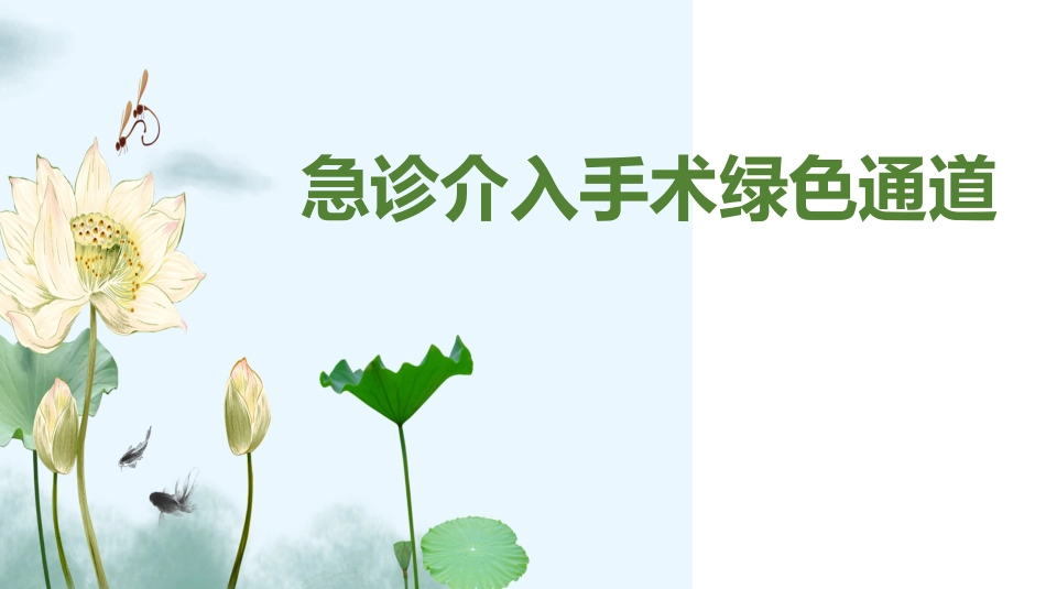 急诊介入绿色通道_第1页