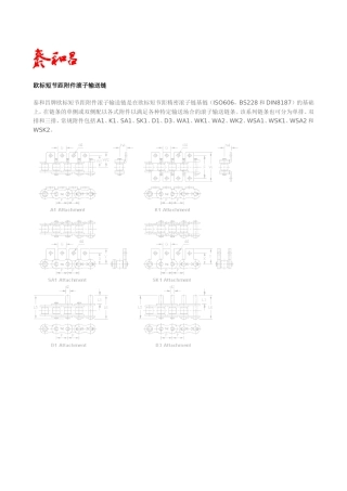 美标双节距滚子输送链