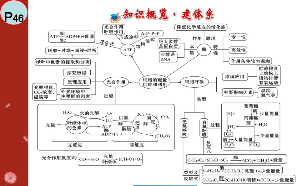 必修1-细胞的能量供应和利用_第2页