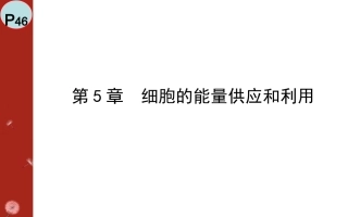必修1-细胞的能量供应和利用
