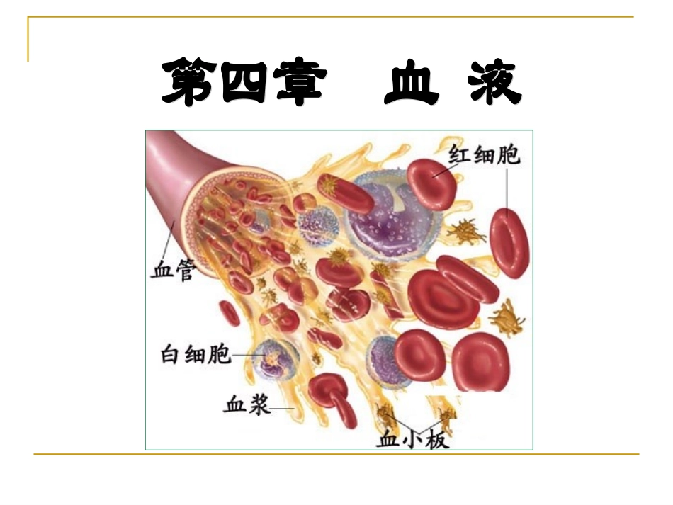 动物生理学 第四章血液_第3页