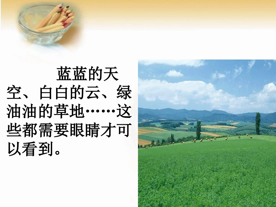 大班健康：明亮的眼睛_第3页