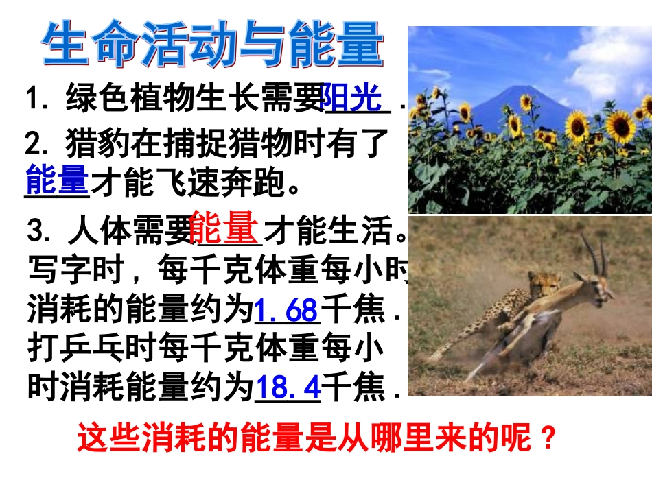 食物与营养(上课)资料_第2页