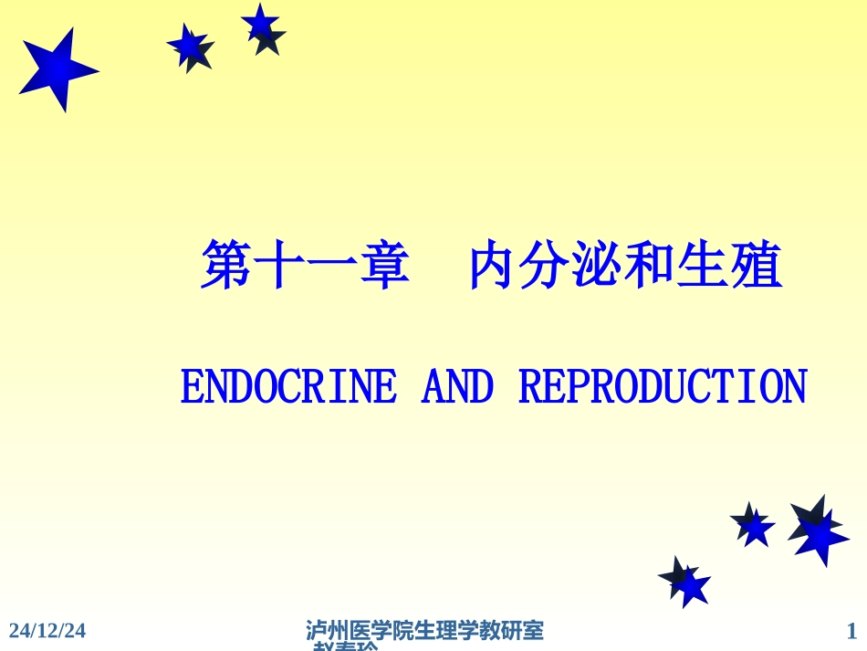 内分泌系统-11_第1页