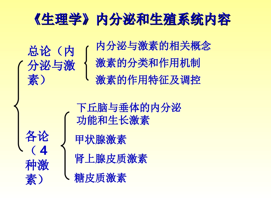内分泌系统-11_第2页