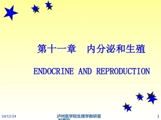 内分泌系统-11