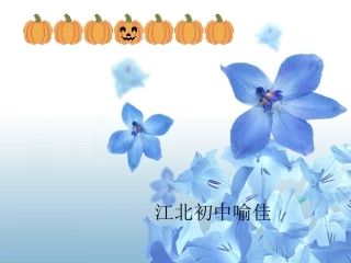 人体的激素调节