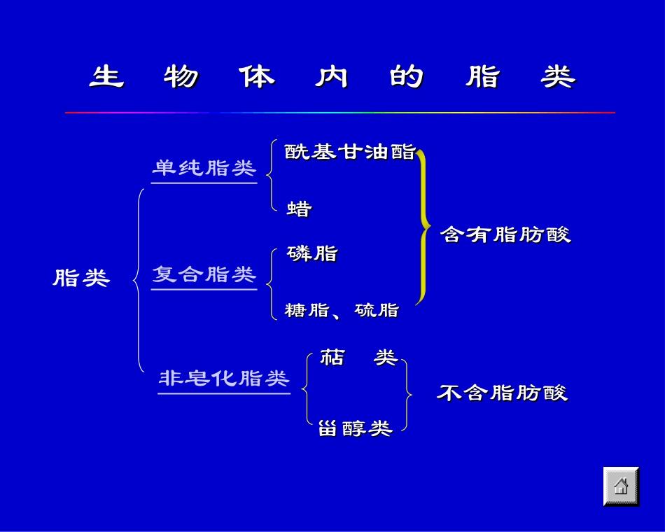 第八章 脂类代谢2_第3页