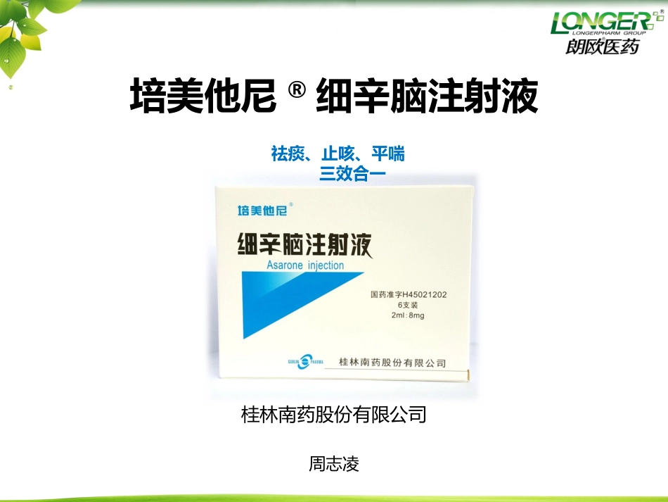 细辛脑PPT_第1页