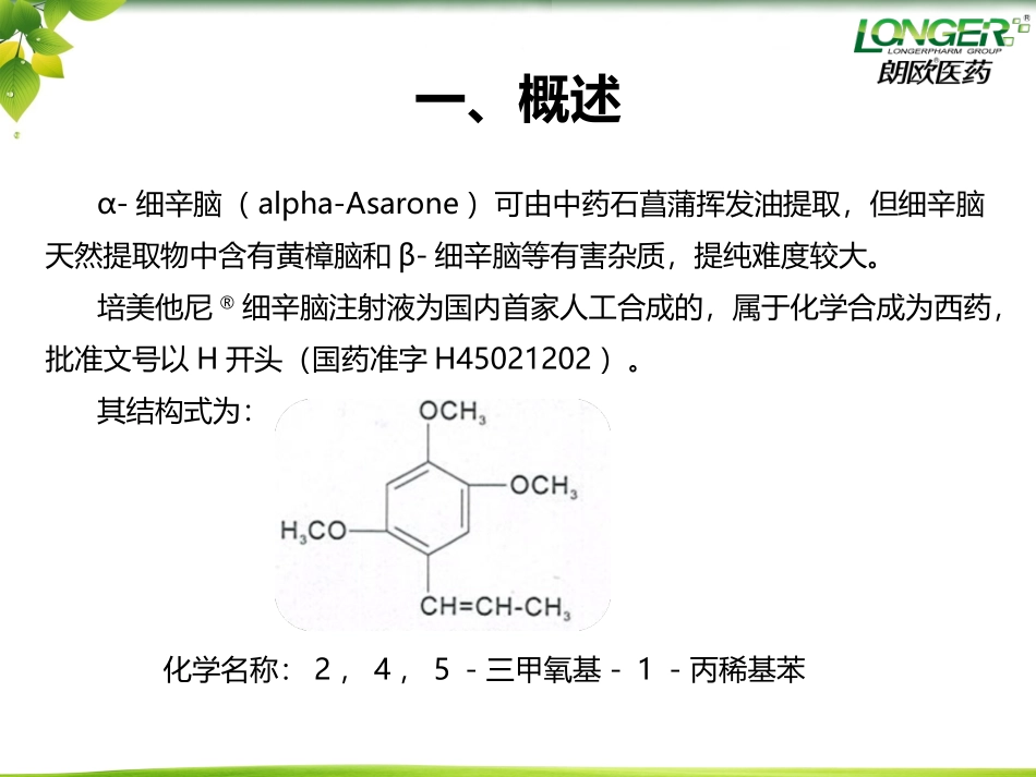 细辛脑PPT_第3页