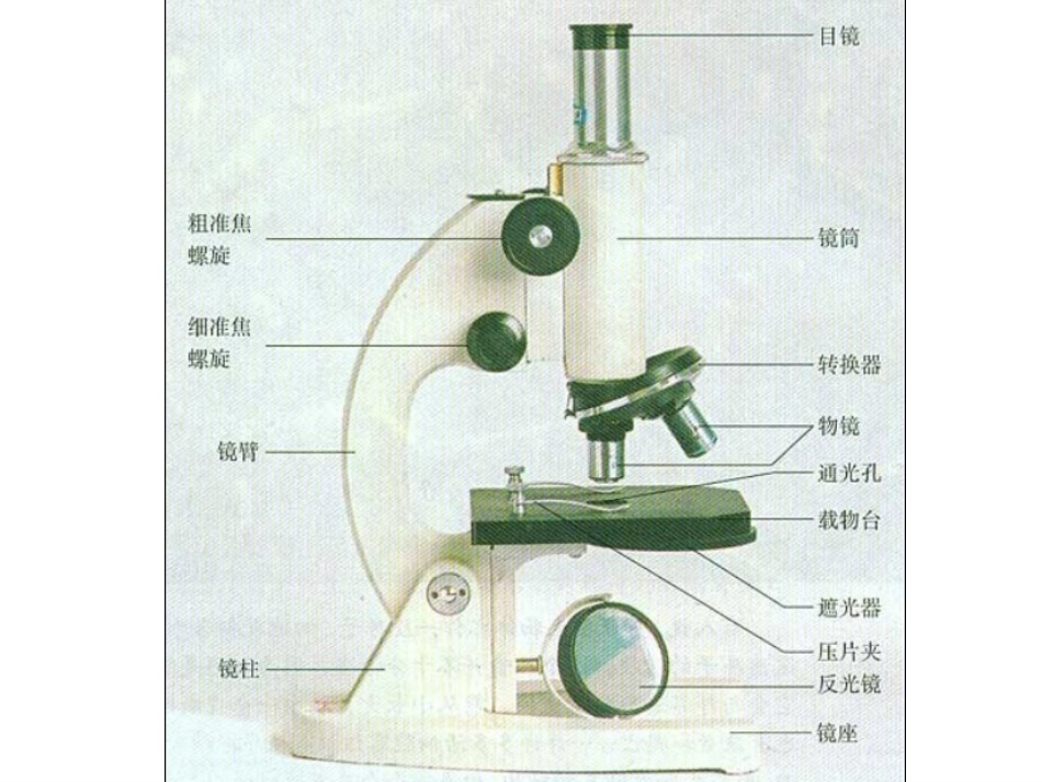 会考47题-实验_第3页