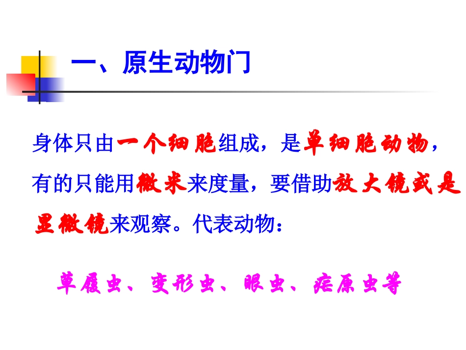 生物的分类 无脊椎动物_第3页