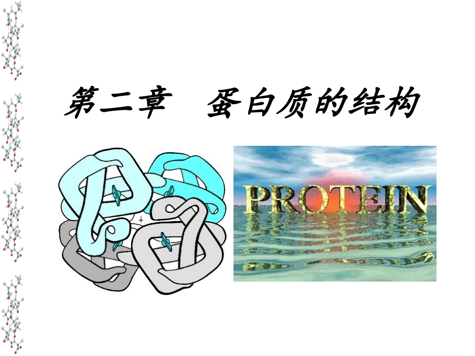 第二章 蛋白质的结构_第1页