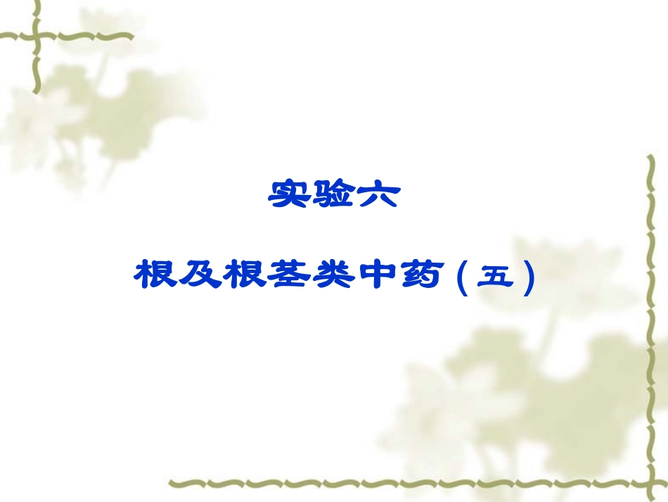 广州中医药大学精品课程中药鉴定实验6 根及根茎类五_第1页
