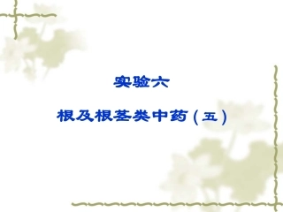 广州中医药大学精品课程中药鉴定实验6 根及根茎类五