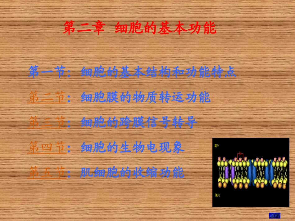 第二章  细胞的功能_第1页