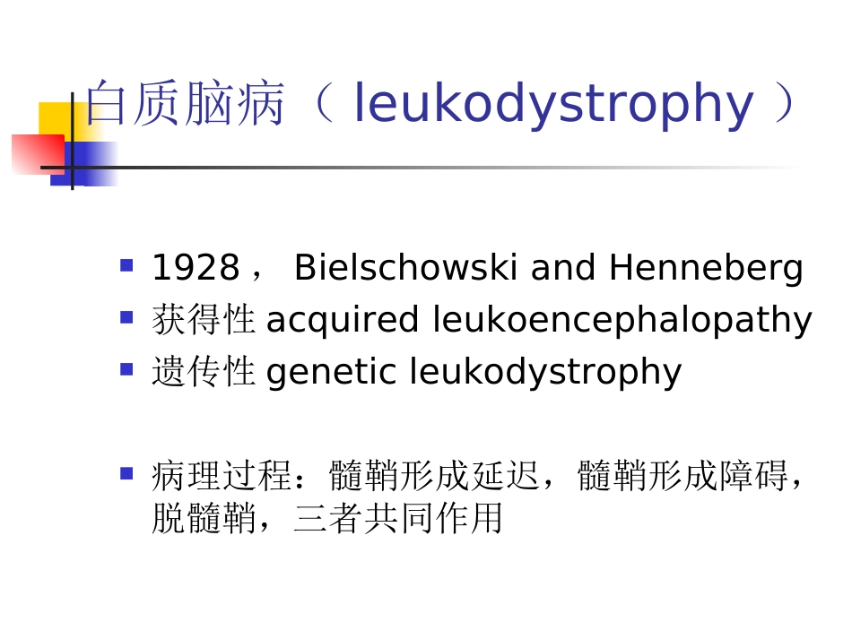 白质脑病诊断与鉴别诊断_第2页