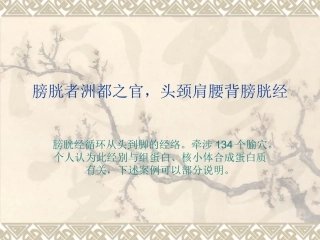 膀胱气虚与全身性疾病