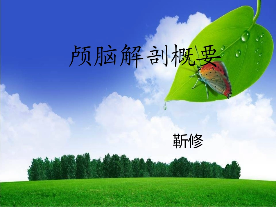 颅脑解剖概要_第1页