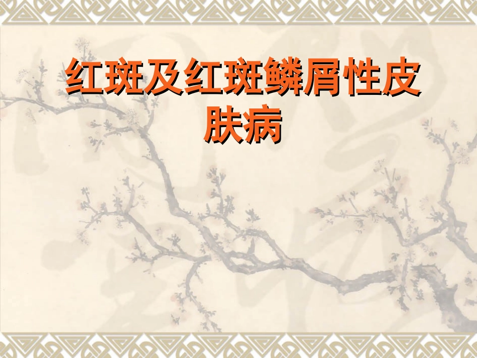 红斑丘疹性皮肤病_第1页