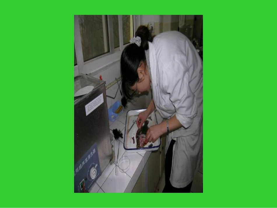 水产动物疾病学实验_第3页