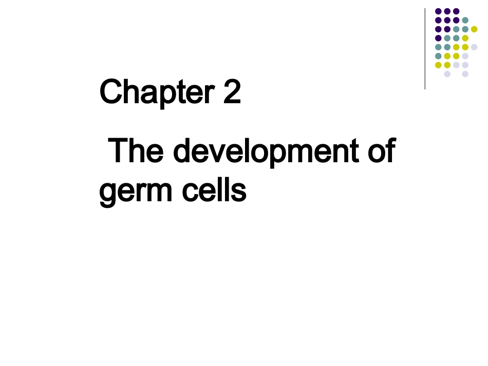生殖细胞发育_第1页